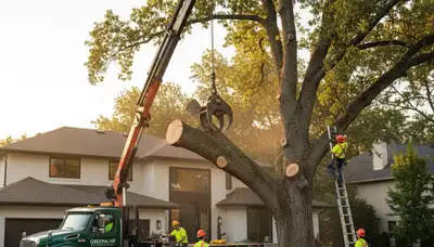 Certified arborists providing professional tree removal in Highland Park, IL for safe property care