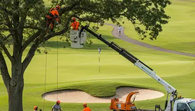 Professional tree removal service in Highland Park IL safely clearing residential trees